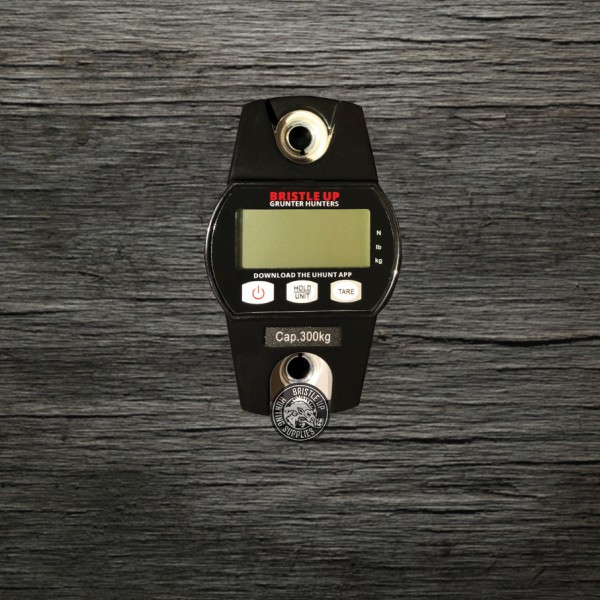 300KG SCALES - Image 2