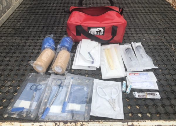 Bristle Up First Aid Kit - Image 2