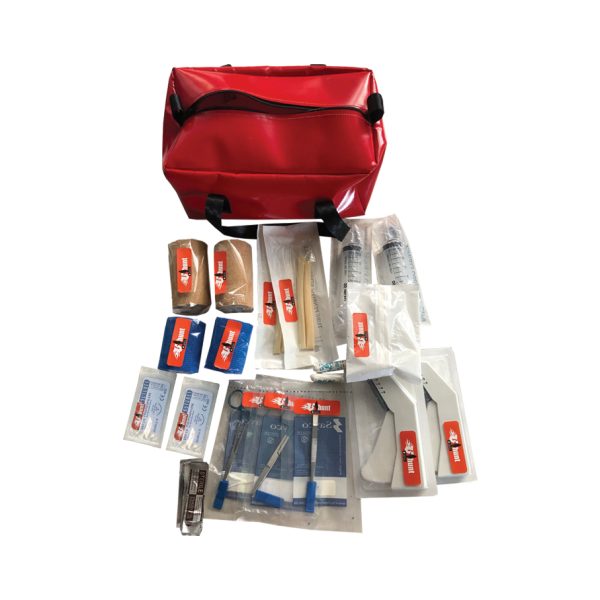 Bristle Up First Aid Kit