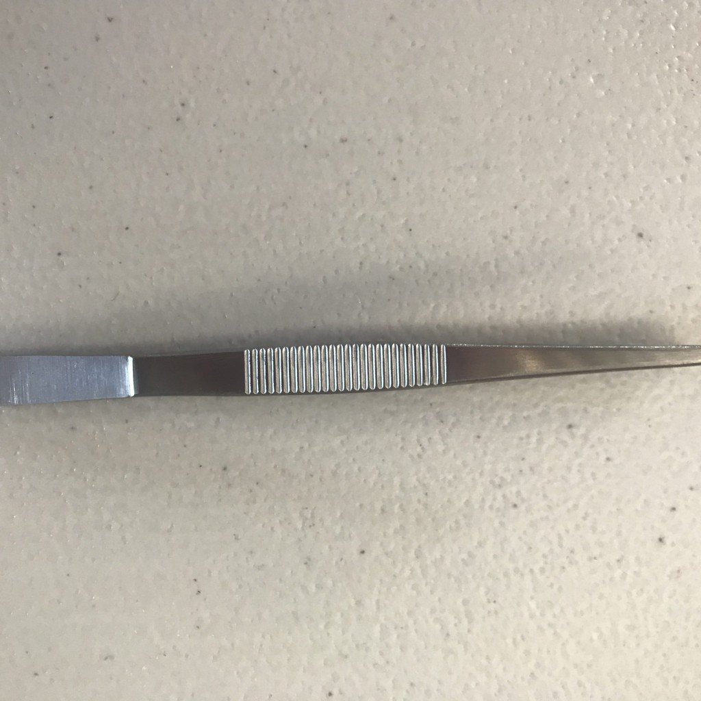 BRISTLE UP