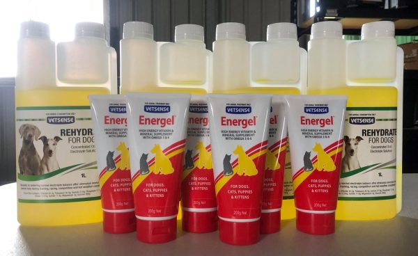 1 Ltr VETSENSE REHYDRATE - Image 2
