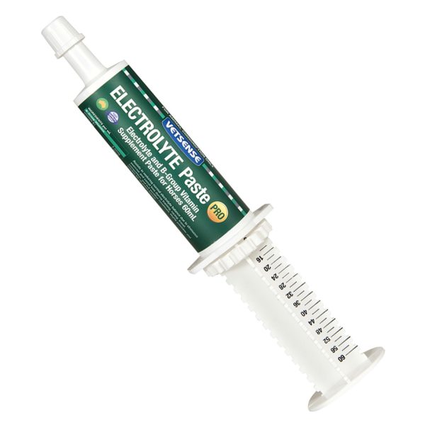 VETSENSE ELECTROLYTE PASTE 60ML Syringe