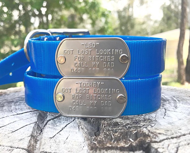 Metal Dog Tags (Attach to collars, chestplates and trackers) BRISTLE UP