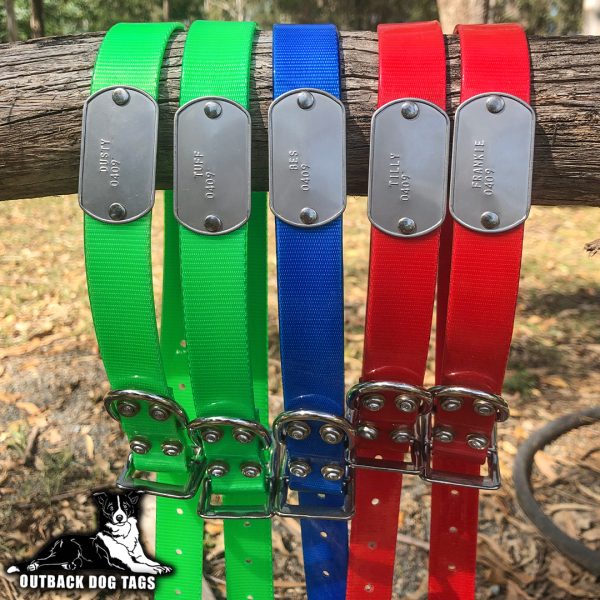 Collar with Tag - Mixed Colors - Aussie Tough - Image 5
