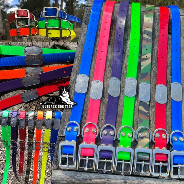 Collar with Tag - Mixed Colors - Aussie Tough