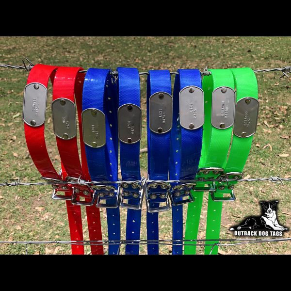 Collar with Tag - Mixed Colors - Aussie Tough - Image 31