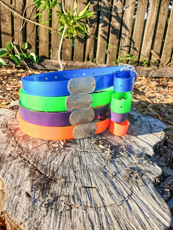 Collar with Tag - Mixed Colors - Aussie Tough - Image 7