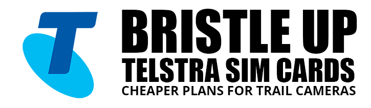 BRISTLE UP
