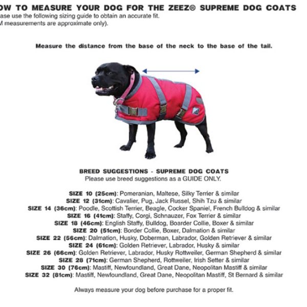 Alternative view of ZeeZ SUPREME Dog Coat Navy Stone / Red