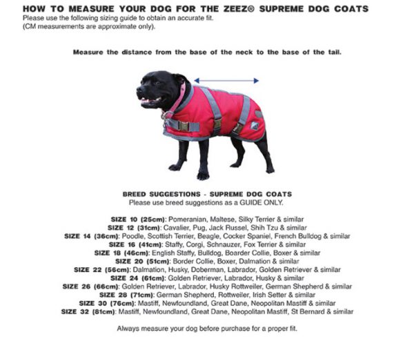 ZeeZ SUPREME Dog Coat GEN 2 Turquoise/ Grey - Image 6