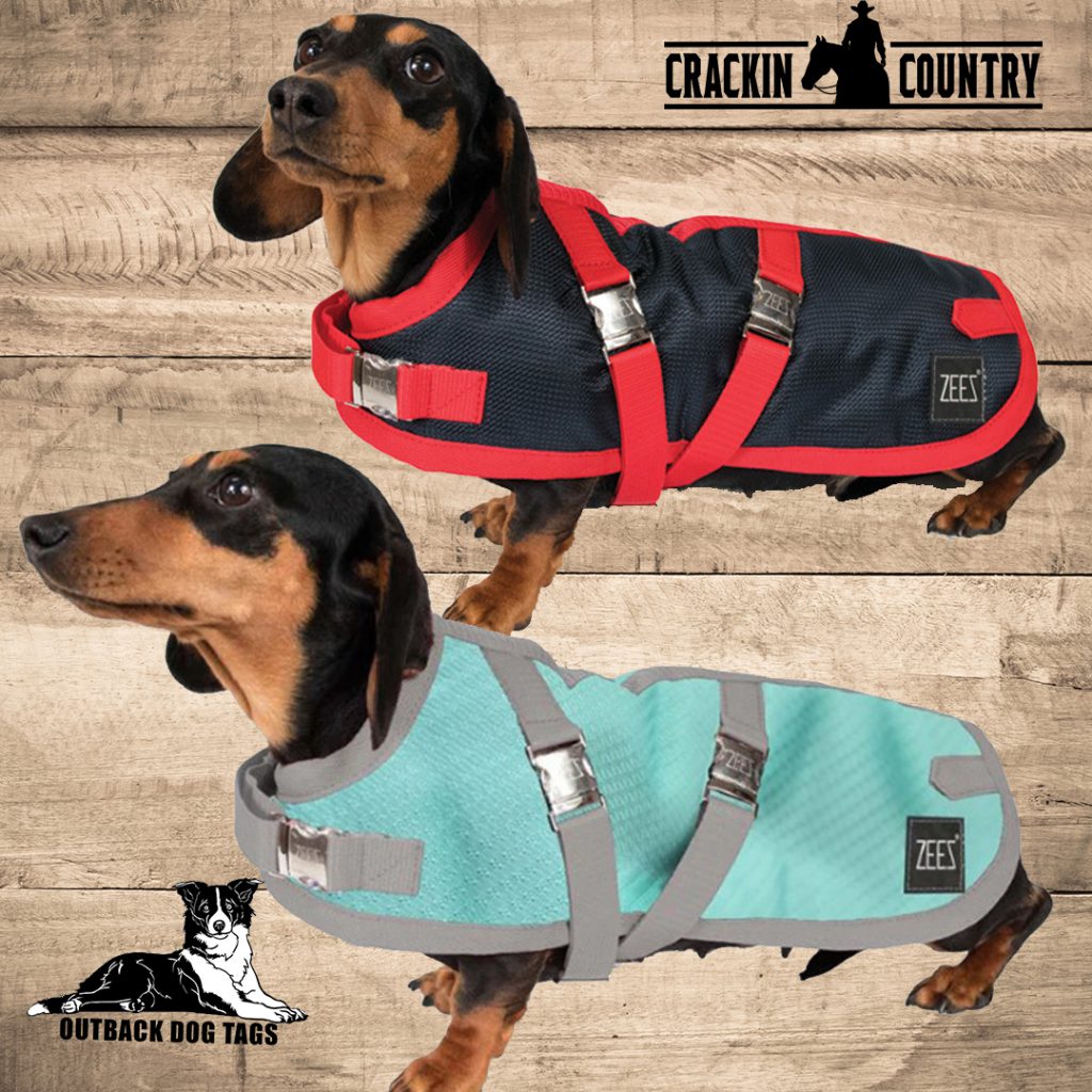 ZeeZ Supreme Dachshund Dog Coat Navy Stone/Red BRISTLE UP