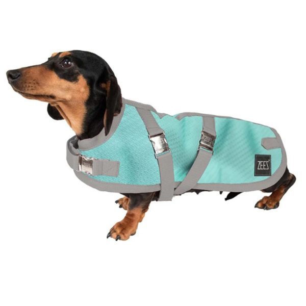 ZeeZ Supreme Dachshund Dog Coat - Mint Green/Grey