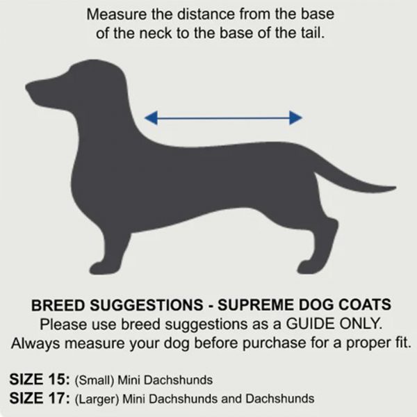 ZeeZ Supreme Dachshund Dog Coat - Navy Stone/Red - Image 4