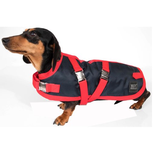 ZeeZ Supreme Dachshund Dog Coat - Navy Stone/Red