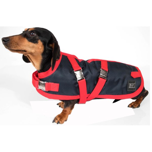 ZeeZ Supreme Dachshund Dog Coat - Navy Stone/Red