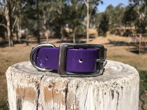 AUSSIE TOUGH COLLARS (No Tag) - Mix Colors - Image 10