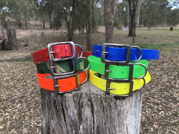 AUSSIE TOUGH COLLARS (No Tag) - Mix Colors