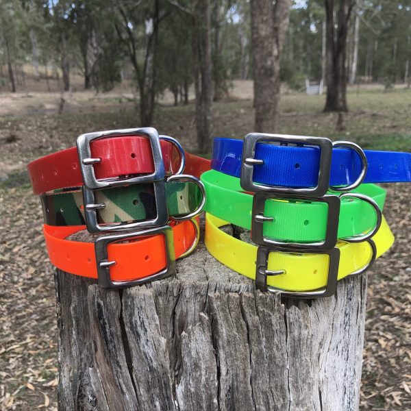 AUSSIE TOUGH COLLARS (No Tag) - Mix Colors