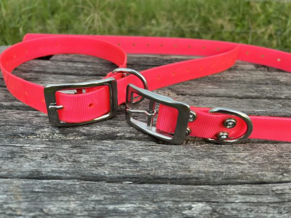 AUSSIE TOUGH COLLARS (No Tag) - Mix Colors - Image 11