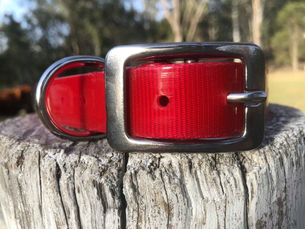 AUSSIE TOUGH COLLARS (No Tag) - Mix Colors - Image 4