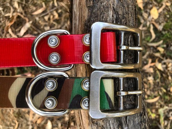 AUSSIE TOUGH COLLARS (No Tag) - Mix Colors - Image 2