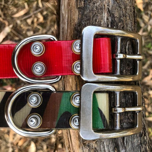 Alternative view of AUSSIE TOUGH COLLARS (No Tag) - Mix Colors