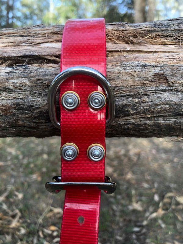 AUSSIE TOUGH COLLARS (No Tag) - Mix Colors - Image 5