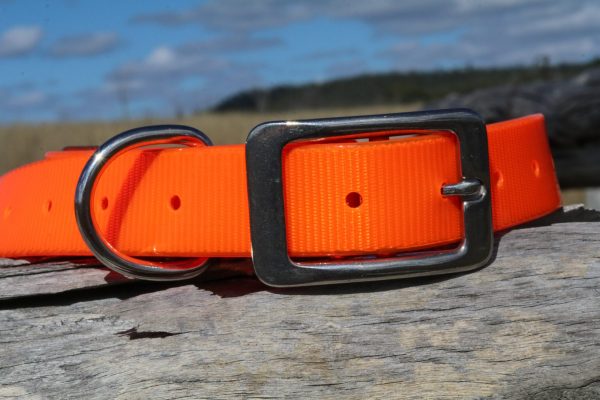 AUSSIE TOUGH COLLARS (No Tag) - Mix Colors - Image 9