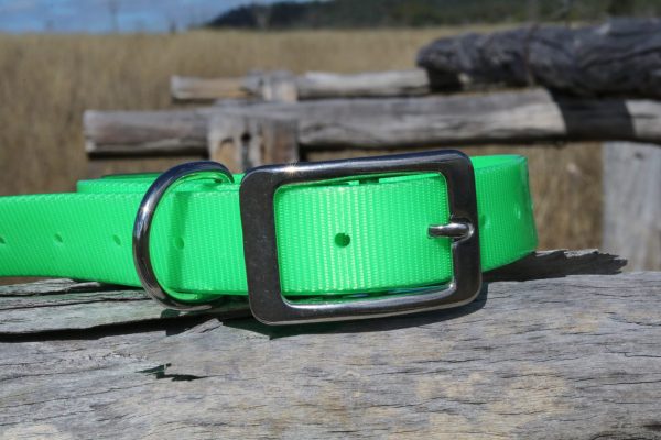 AUSSIE TOUGH COLLARS (No Tag) - Mix Colors - Image 7