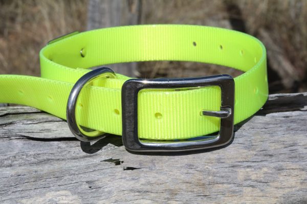 AUSSIE TOUGH COLLARS (No Tag) - Mix Colors - Image 8