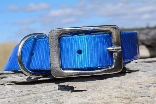 AUSSIE TOUGH COLLARS (No Tag) - Mix Colors - Image 6
