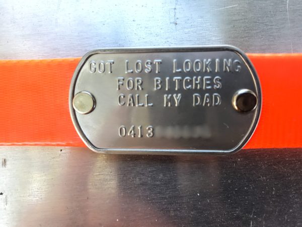 Custom Made Metal Dog Tag by itself (Attach to your own collar) - Image 6