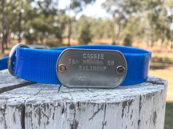 Custom Made Metal Dog Tag by itself (Attach to your own collar) - Image 4