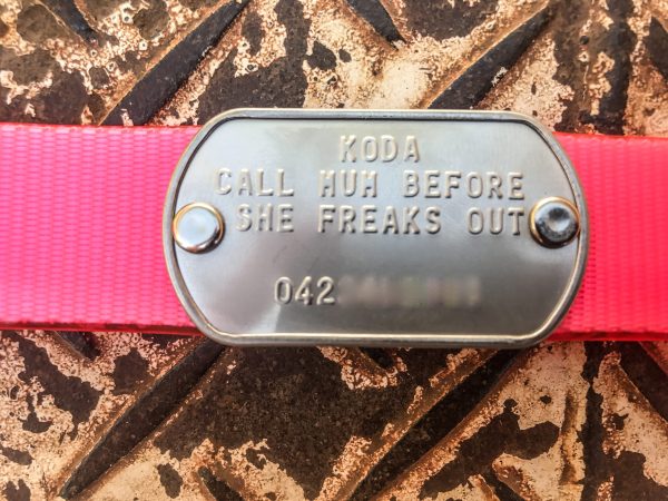 Custom Made Metal Dog Tag by itself (Attach to your own collar) - Image 2