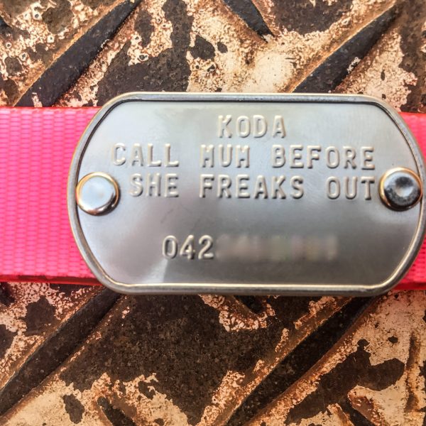 Alternative view of Custom Made Metal Dog Tag by itself (Attach to your own collar)