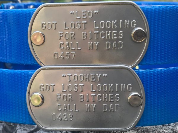 Custom Made Metal Dog Tag by itself (Attach to your own collar)