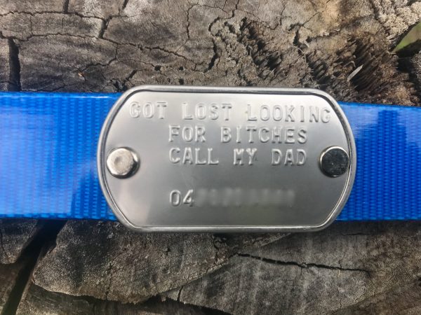 Custom Made Metal Dog Tag by itself (Attach to your own collar) - Image 13