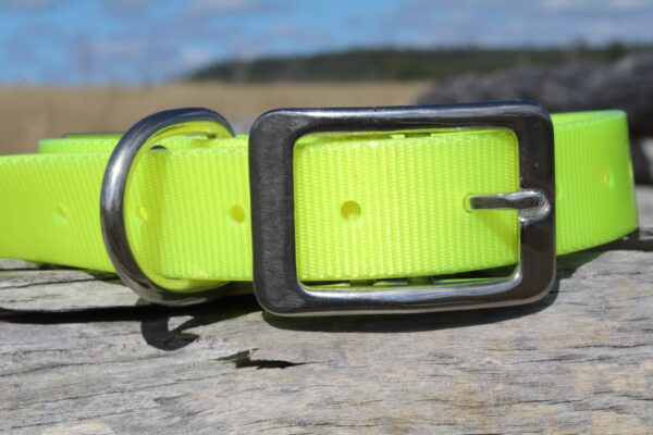 Collar with Tag - Mixed Colors - Aussie Tough - Image 27