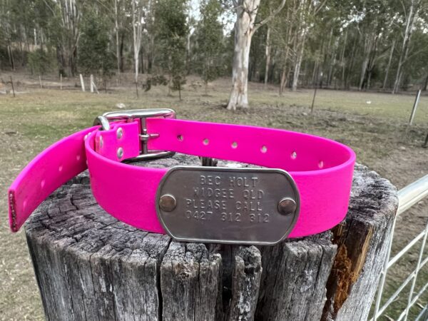Collar with Tag - Pink PVC - Aussie Tough