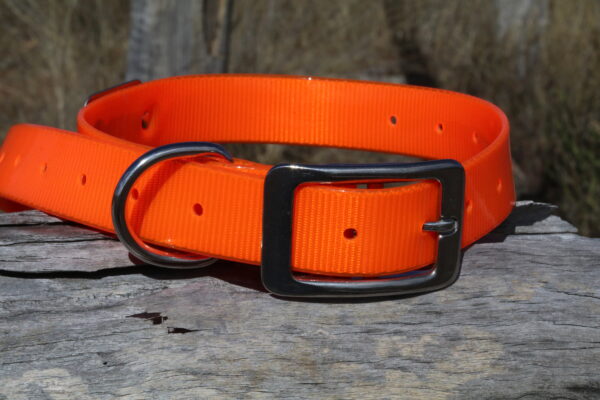 Collar with Tag - Mixed Colors - Aussie Tough - Image 28