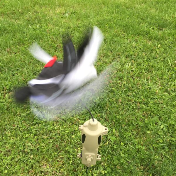 Alternative view of ICOTEC PD200 UNIVERSAL PREDATOR DECOY