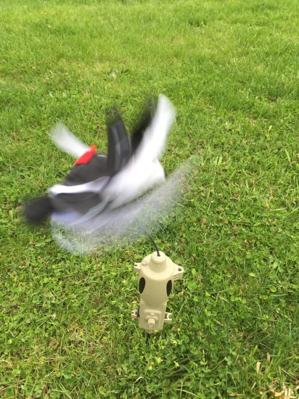 ICOTEC PD200 UNIVERSAL PREDATOR DECOY - Image 2