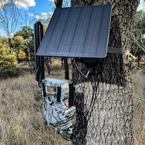 Hikmicro M15 4G Trail Camera ( Also Supports 4GX ) - Image 7