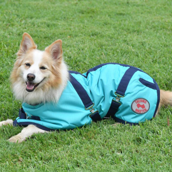 Alternative view of Thermo Master Supreme Dog Coat - Teal/Navy