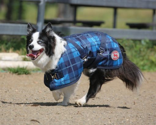 Thermo Master Supreme Dog Coat - Blue Tartan