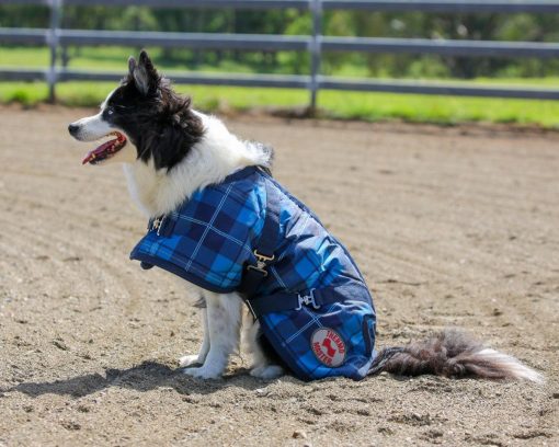 Thermo Master Supreme Dog Coat - Blue Tartan - Image 2