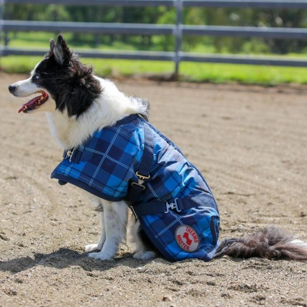 Alternative view of Thermo Master Supreme Dog Coat - Blue Tartan