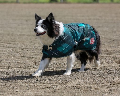Thermo Master Supreme Dog Coat - Emerald Diamond