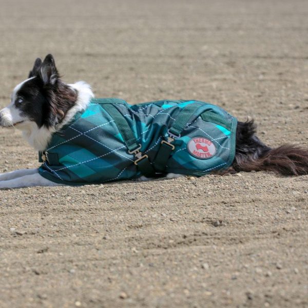 Alternative view of Thermo Master Supreme Dog Coat - Emerald Diamond