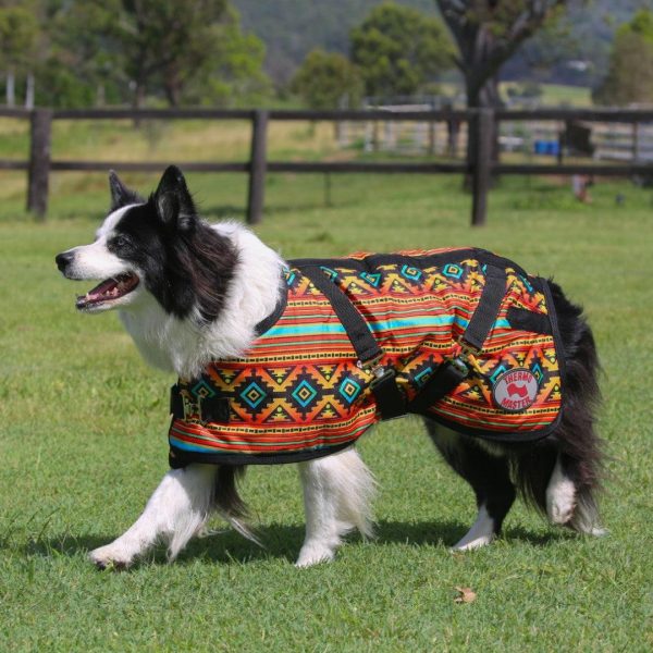 Thermo Master Supreme Dog Coat - Nicoma